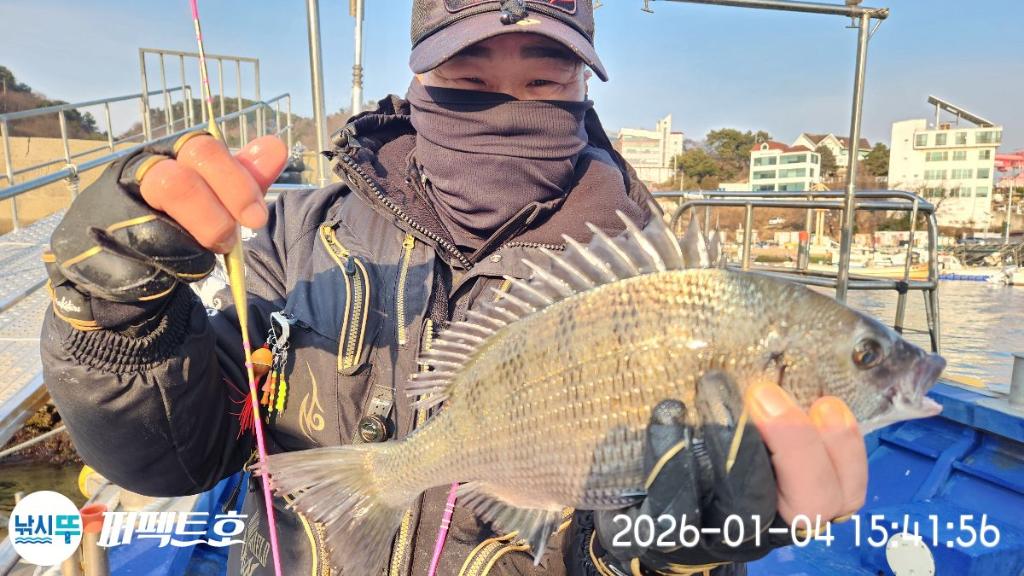 낚시뚜,감성돔,진해 수치마을 방파제,퍼펙트호,낚시뚜2