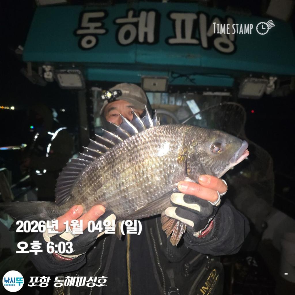 낚시뚜,감성돔,포항(운하관),포항 동해피싱호,낚시뚜2