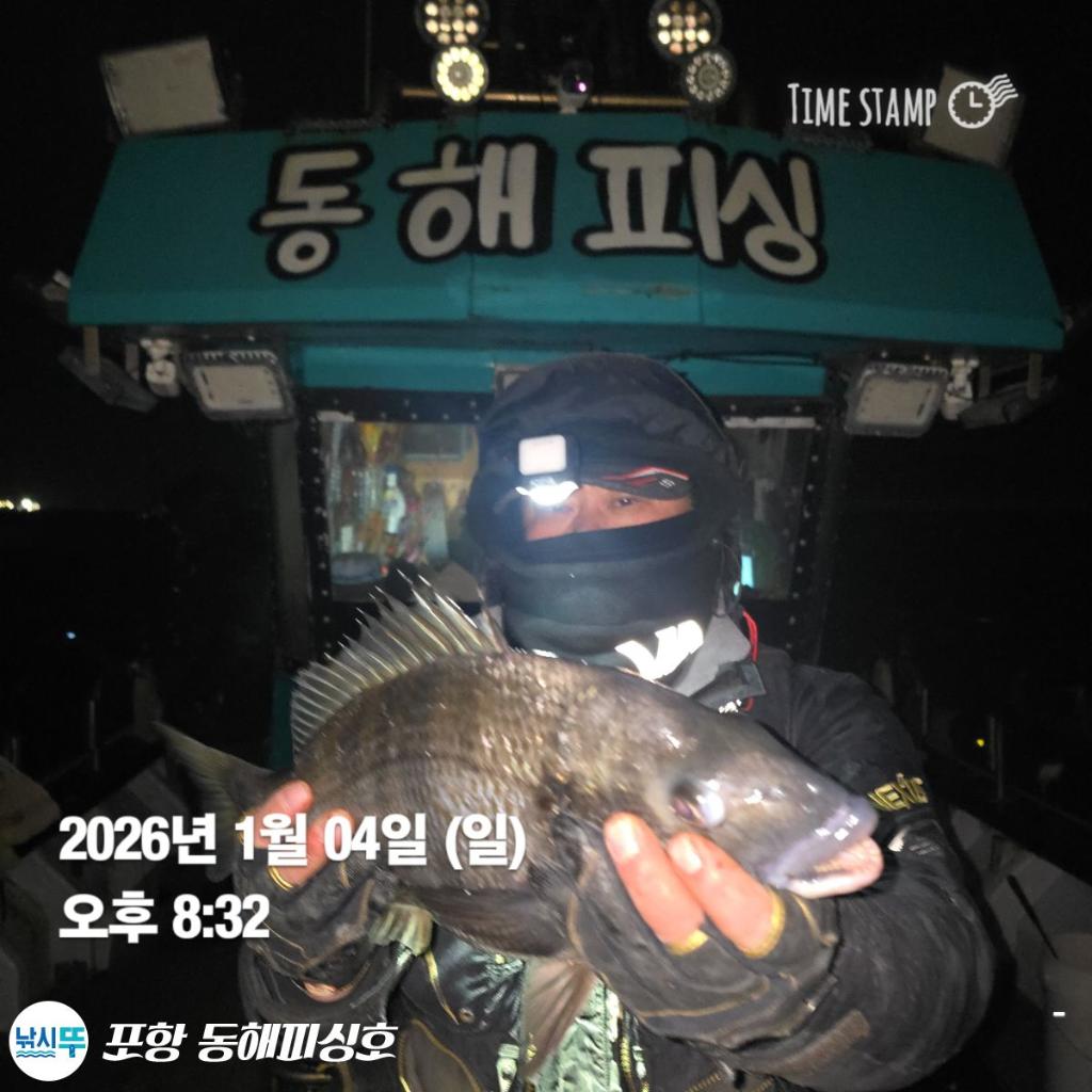 낚시뚜,감성돔,포항(운하관),포항 동해피싱호,낚시뚜0