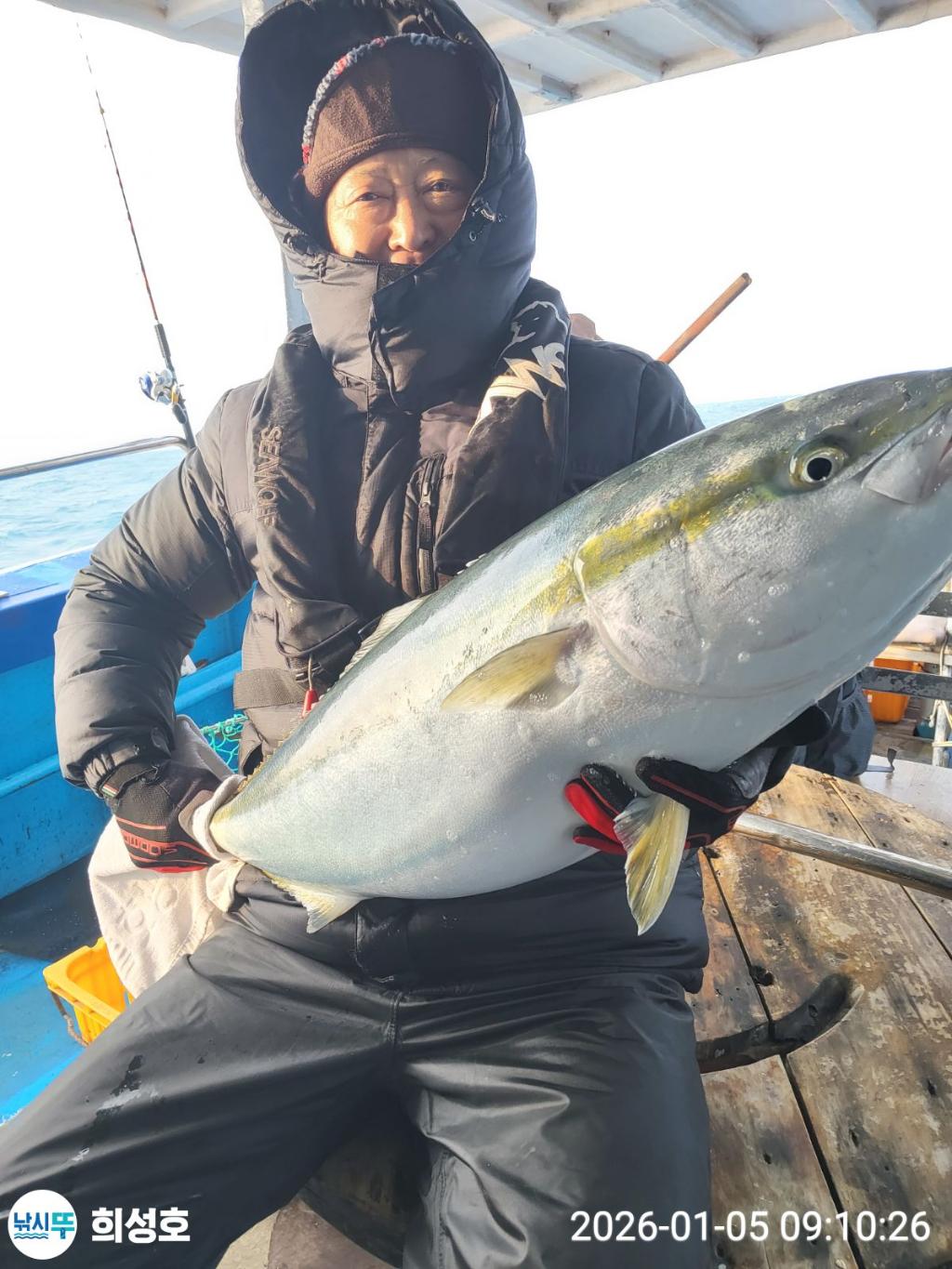 낚시뚜,방어,부시리,모슬포항,희성호,낚시뚜7