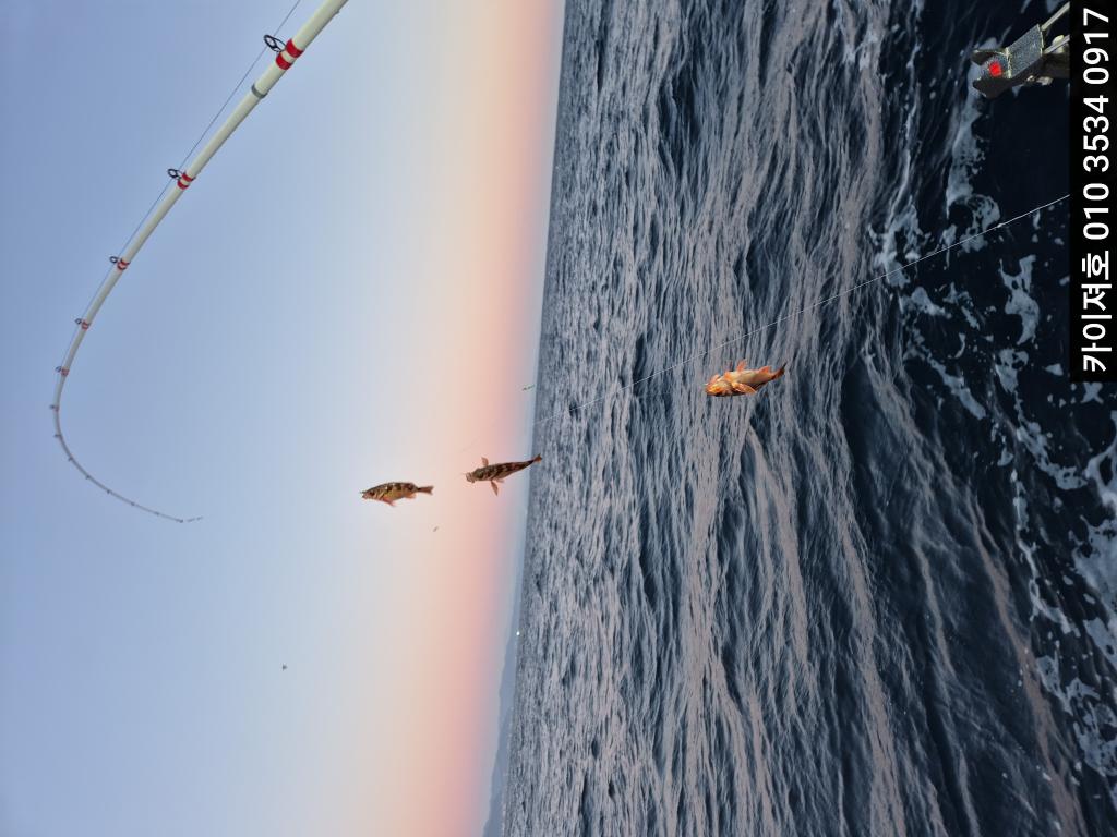 낚시뚜,기타 (직접입력),영일만항,포항카이져호,낚시뚜9