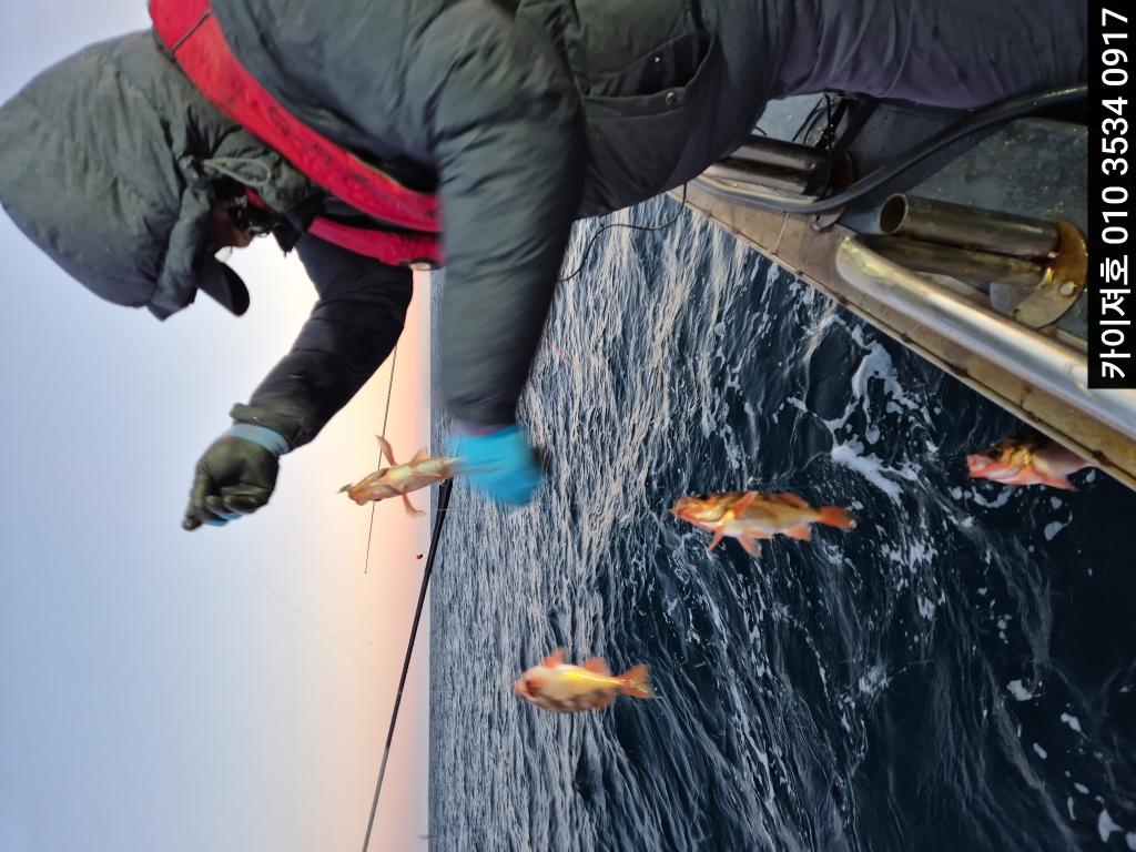 낚시뚜,기타 (직접입력),영일만항,포항카이져호,낚시뚜11