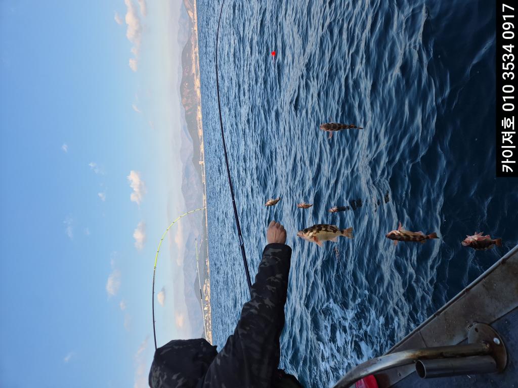 낚시뚜,기타 (직접입력),영일만항,포항카이져호,낚시뚜19