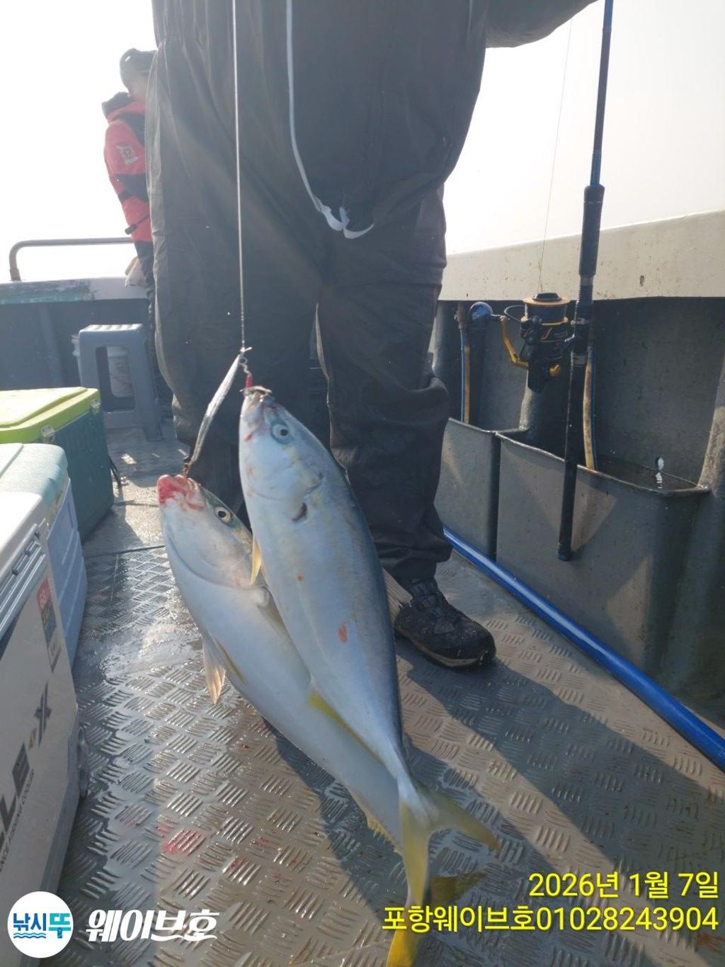 낚시뚜,방어,삼치,구룡포항,뉴웨이브호,낚시뚜5