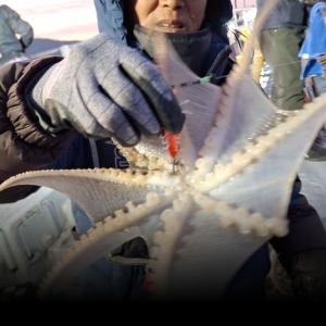 조황, 14일수요일 알쭈꾸미 출조합니다 