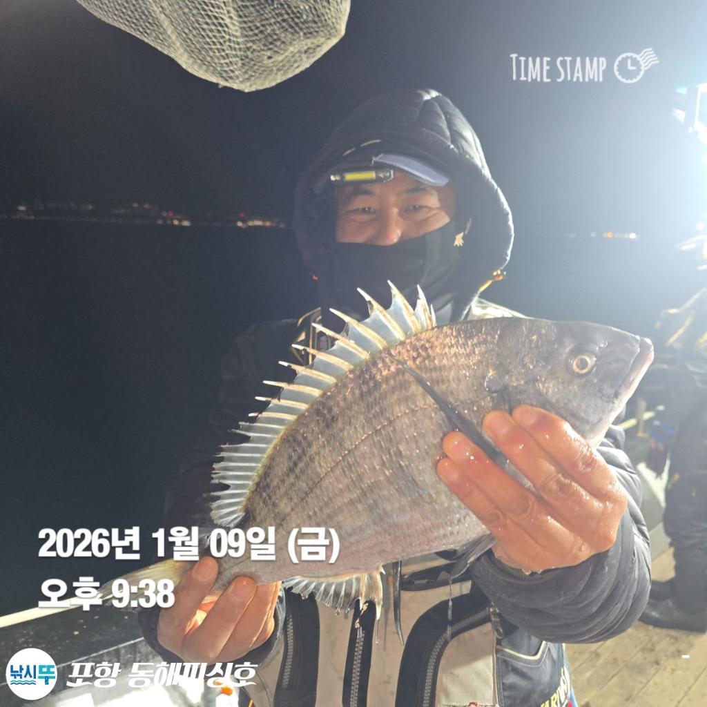 낚시뚜,감성돔,볼락,포항(운하관),포항 동해피싱호,낚시뚜1