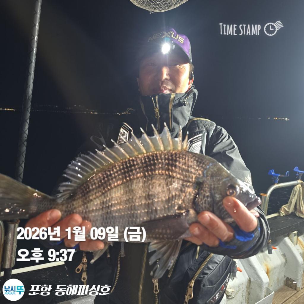 낚시뚜,감성돔,볼락,포항(운하관),포항 동해피싱호,낚시뚜0