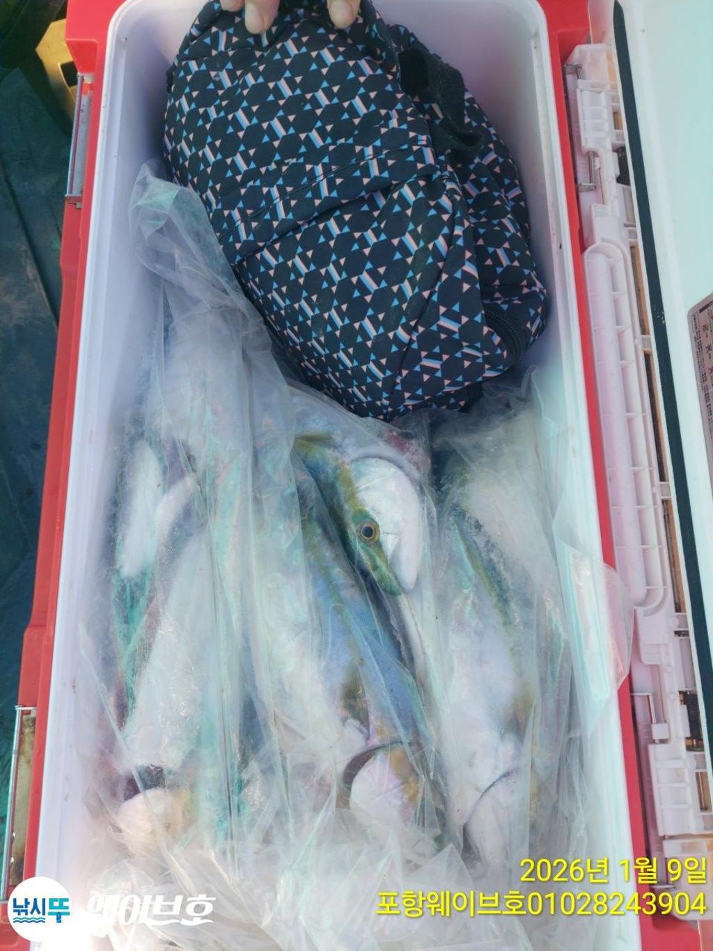 낚시뚜,방어,삼치,구룡포항,뉴웨이브호,낚시뚜16