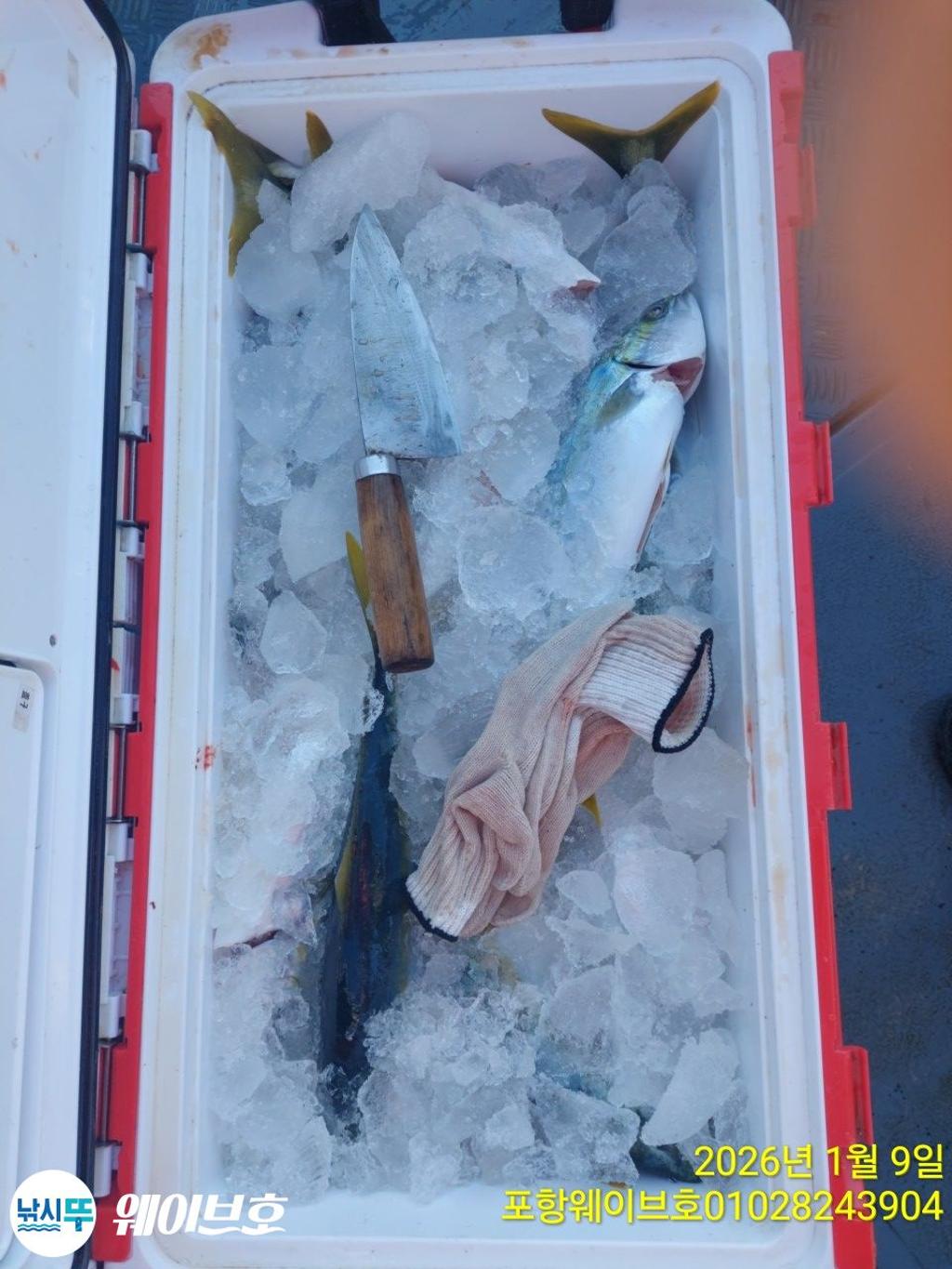 낚시뚜,방어,삼치,구룡포항,뉴웨이브호,낚시뚜11