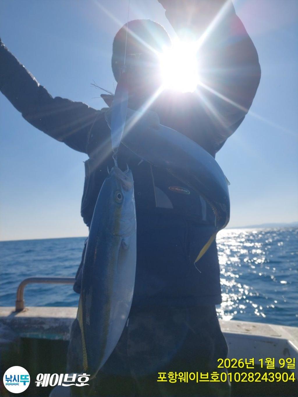 낚시뚜,방어,삼치,구룡포항,뉴웨이브호,낚시뚜7