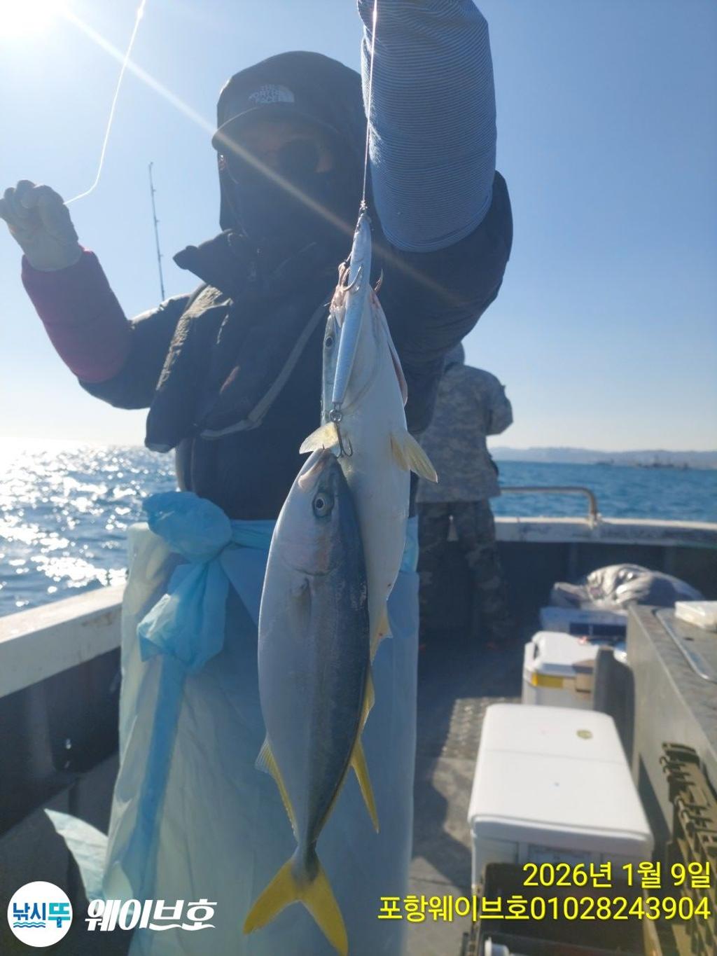 낚시뚜,방어,삼치,구룡포항,뉴웨이브호,낚시뚜1