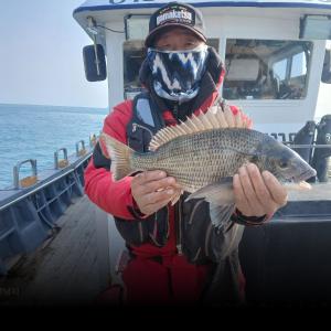 조황, 실전낚시 1월14일 감성돔을 대상으로 다녀왔습니다 