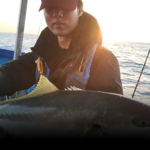 조황, 제주 희성호 방어,부시리 손맛조황~