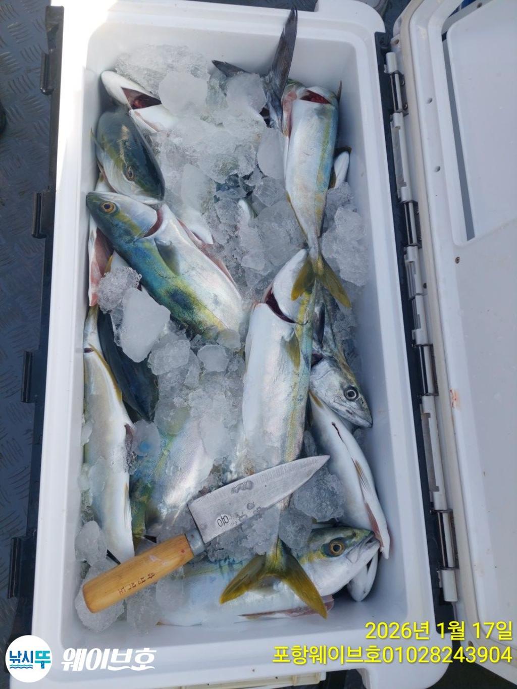 낚시뚜,방어,삼치,구룡포항,뉴웨이브호,낚시뚜12