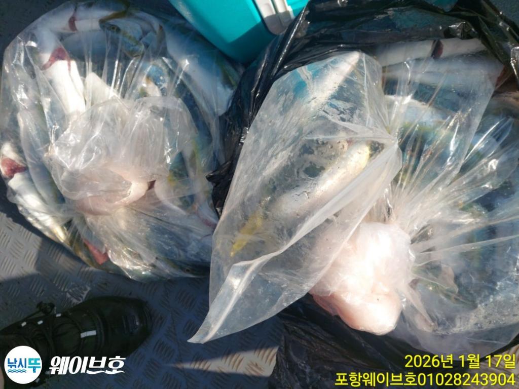 낚시뚜,방어,삼치,구룡포항,뉴웨이브호,낚시뚜9