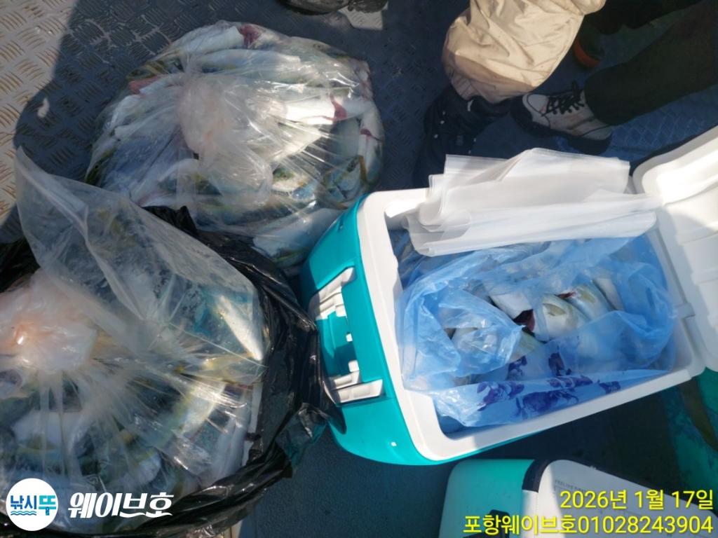 낚시뚜,방어,삼치,구룡포항,뉴웨이브호,낚시뚜8