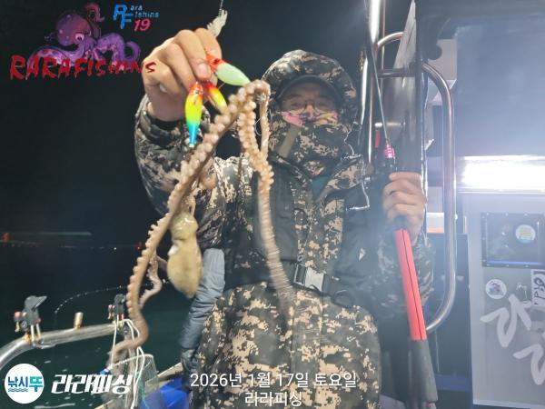 낚시뚜,낙지,속천항(진해),라라피싱,낚시뚜16