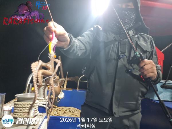 낚시뚜,낙지,속천항(진해),라라피싱,낚시뚜13