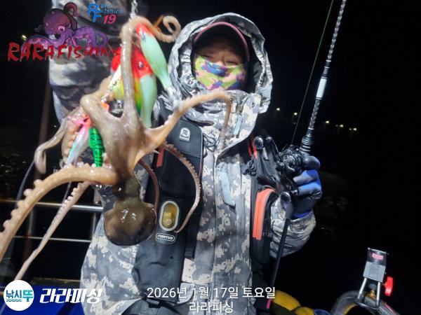 낚시뚜,낙지,속천항(진해),라라피싱,낚시뚜6