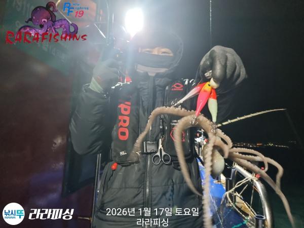 낚시뚜,낙지,속천항(진해),라라피싱,낚시뚜5