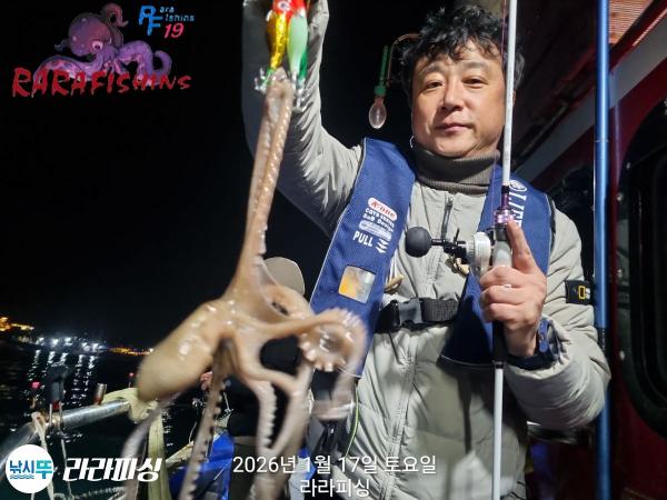 낚시뚜,낙지,속천항(진해),라라피싱,낚시뚜4