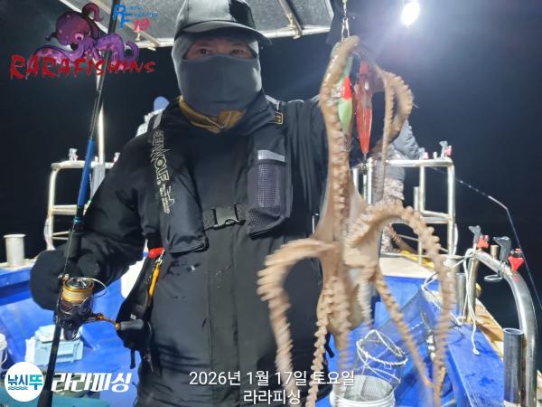 낚시뚜,낙지,속천항(진해),라라피싱,낚시뚜3