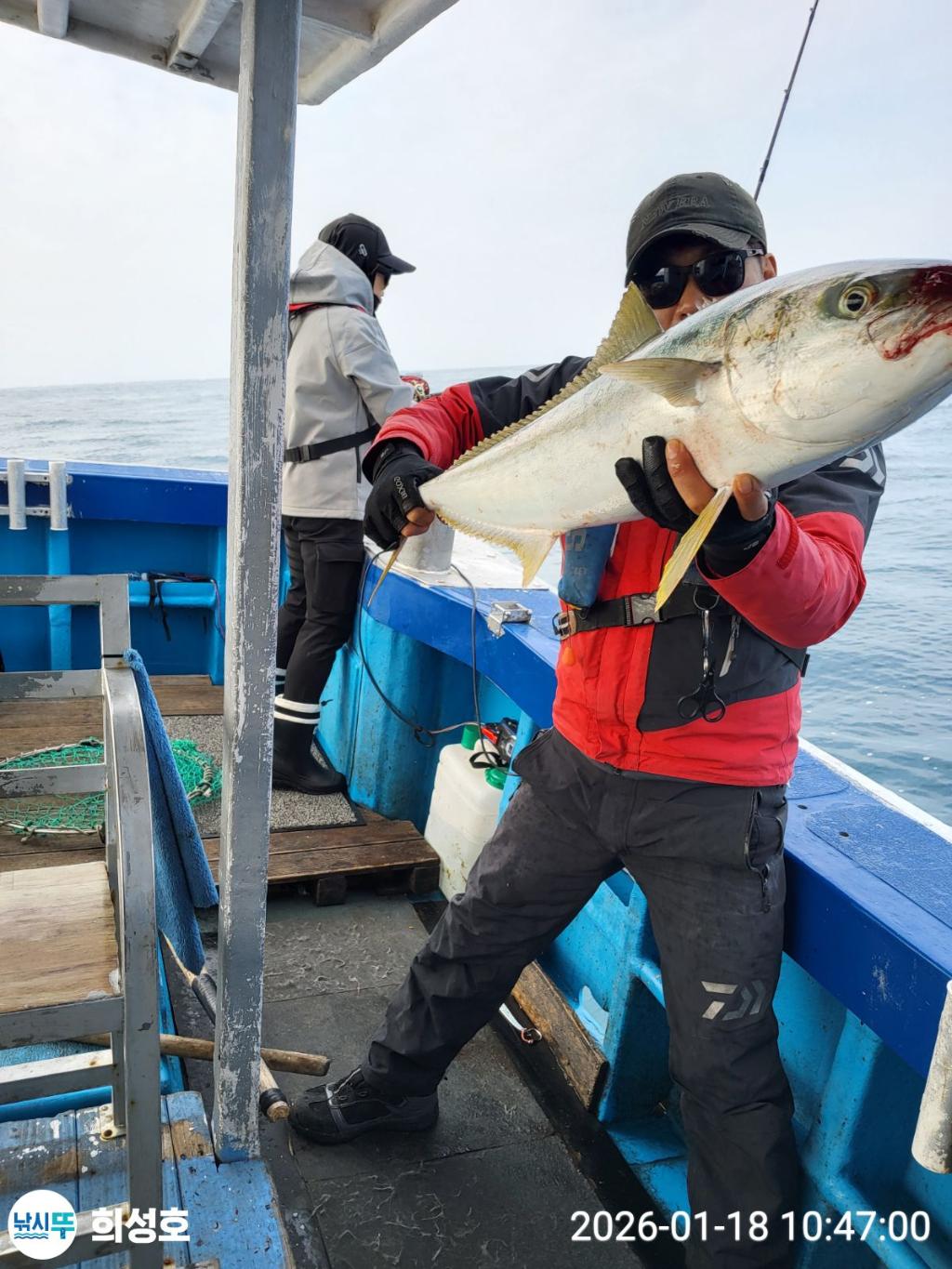 낚시뚜,방어,부시리,모슬포항,희성호,낚시뚜12
