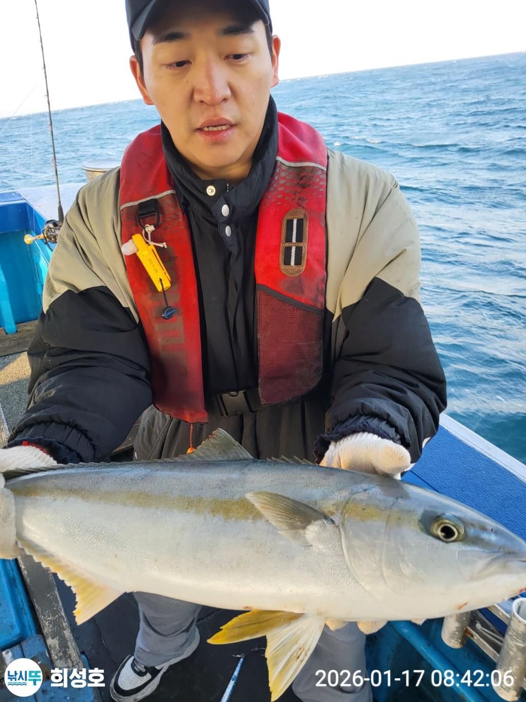 낚시뚜,방어,부시리,모슬포항,희성호,낚시뚜7