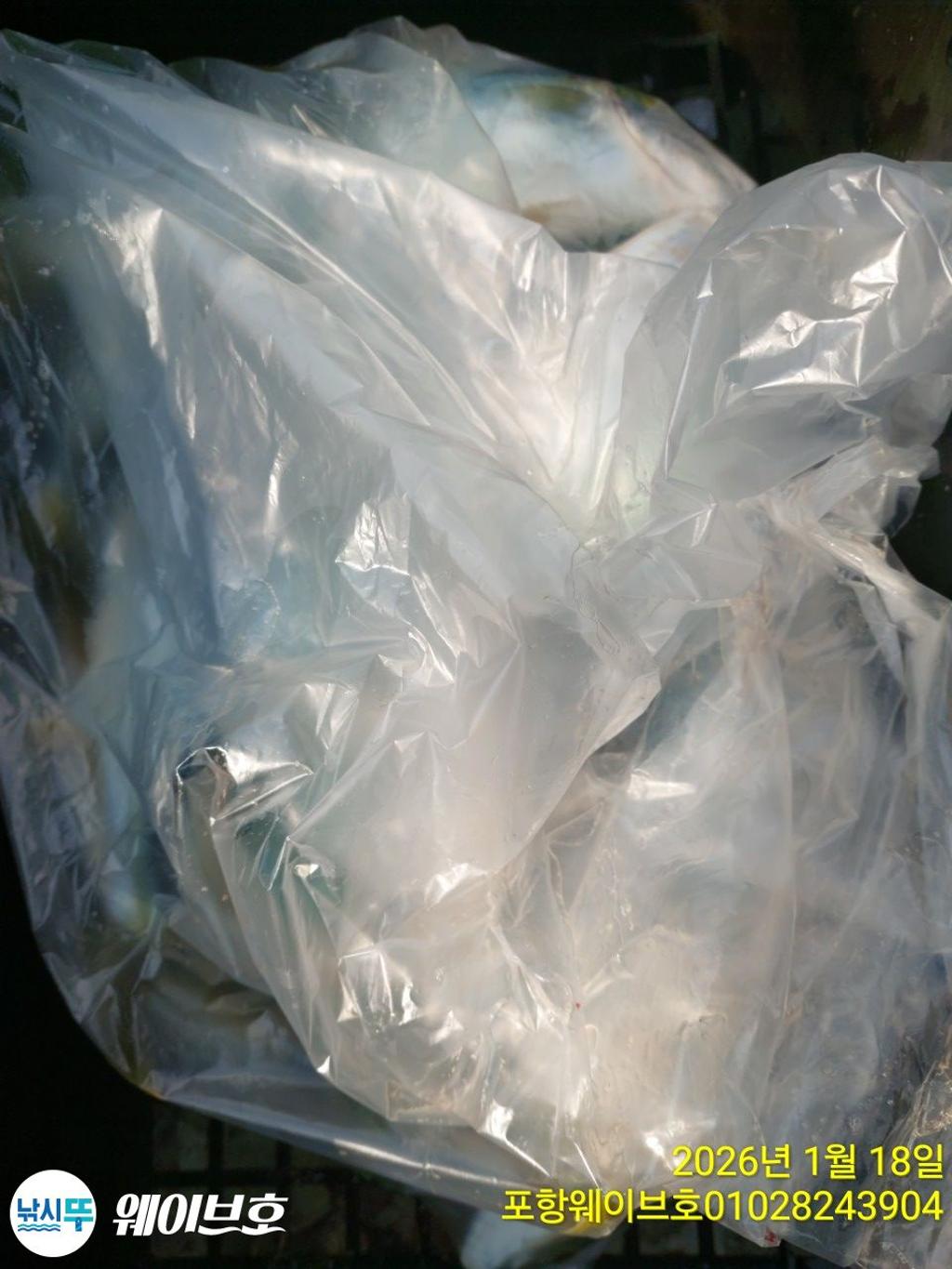 낚시뚜,방어,삼치,구룡포항,뉴웨이브호,낚시뚜6