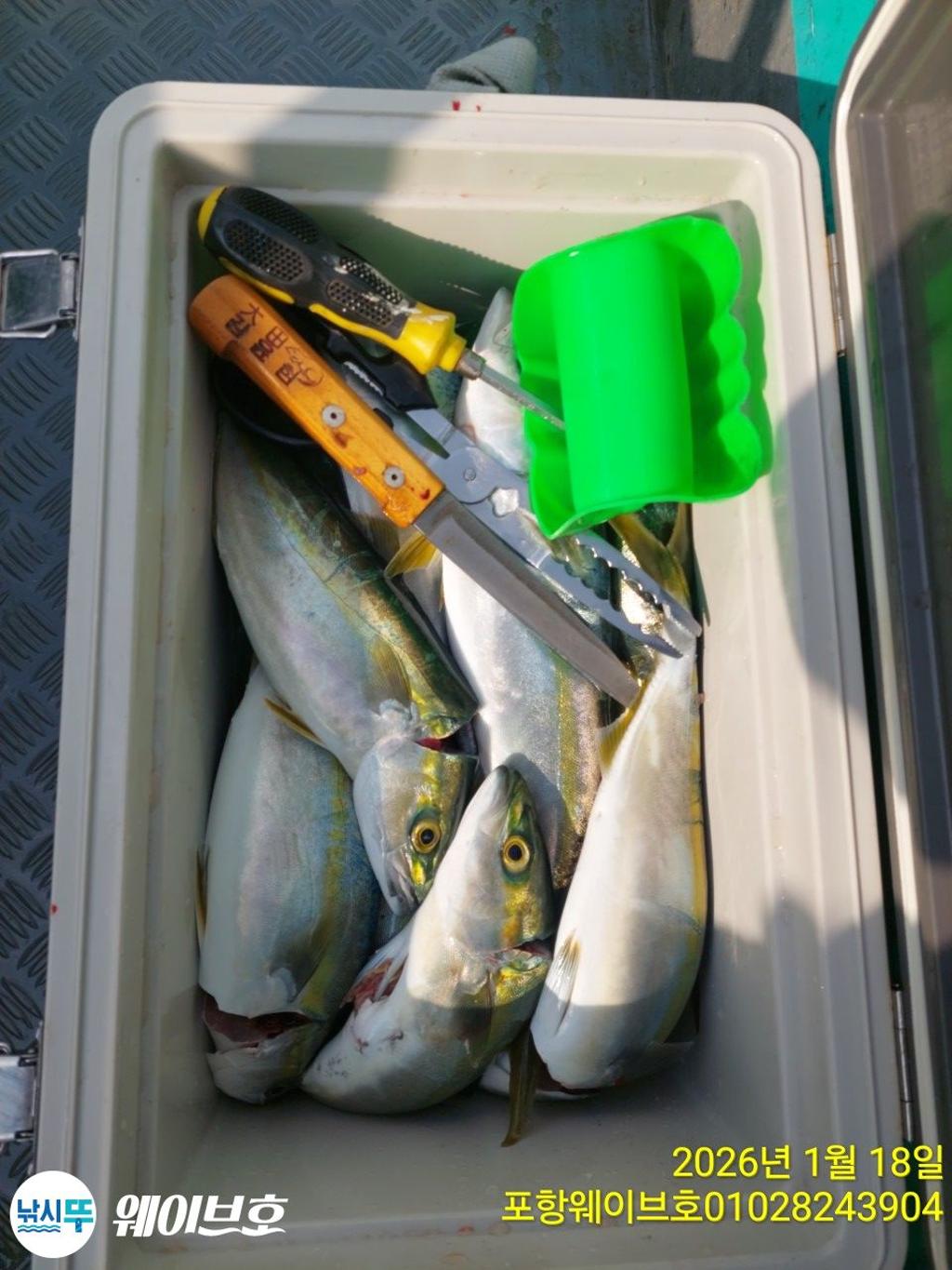 낚시뚜,방어,삼치,구룡포항,뉴웨이브호,낚시뚜5