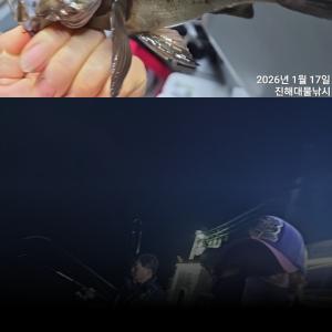 조황, 씨알급들 왕뽈락,왕열기 마릿수 버글버글 엄청잡고~토,일요일 예약가능~