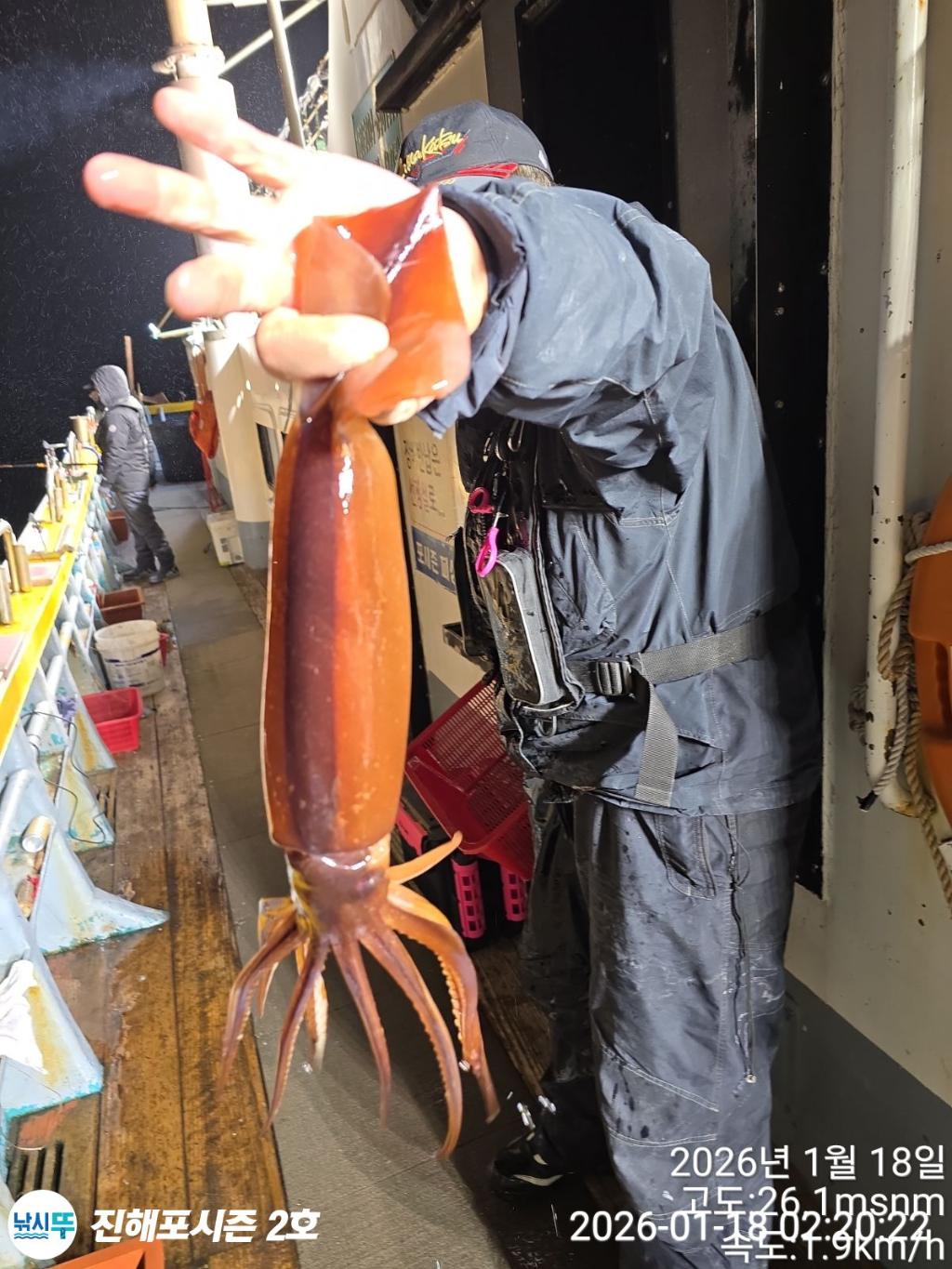 낚시뚜,오징어,진해행암항,진해포시즌 2호,낚시뚜9