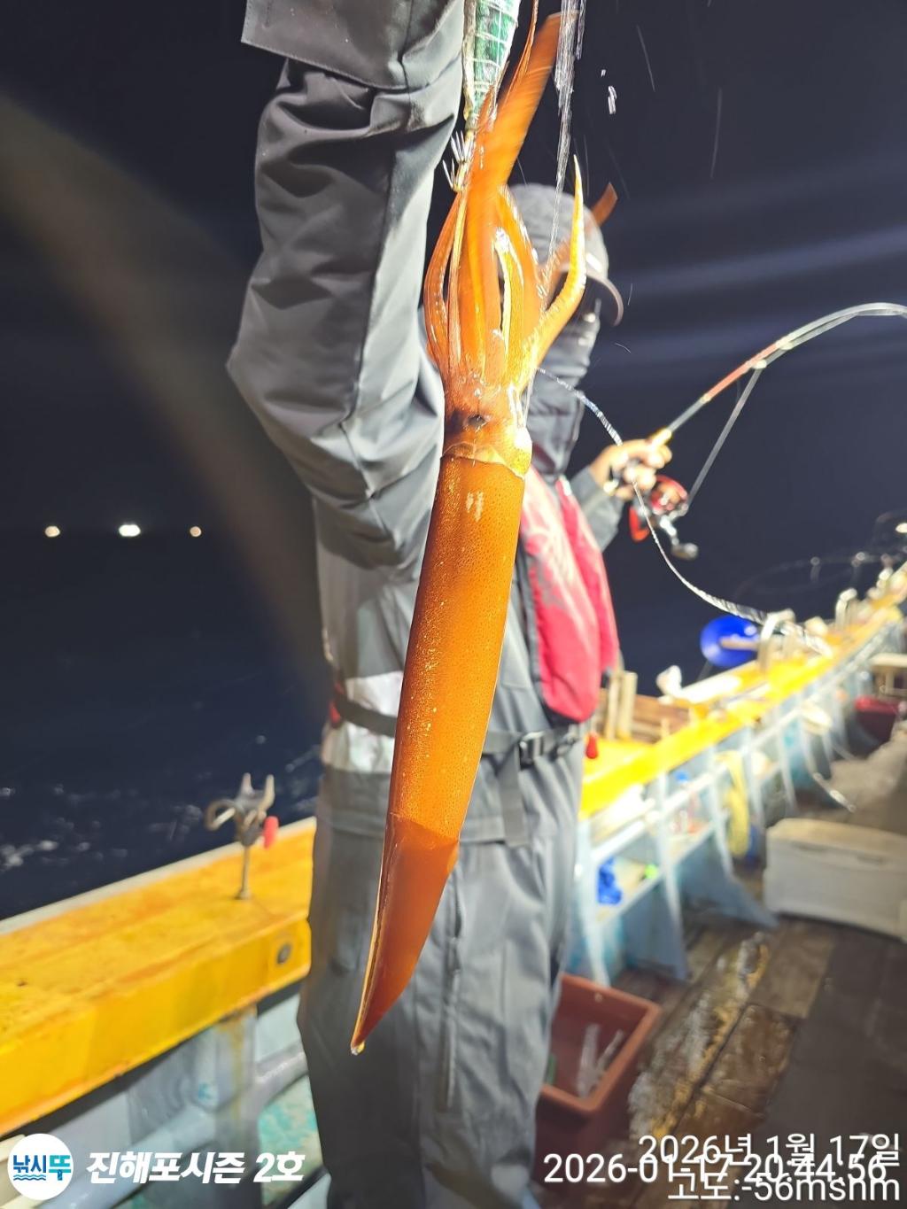 낚시뚜,오징어,진해행암항,진해포시즌 2호,낚시뚜5