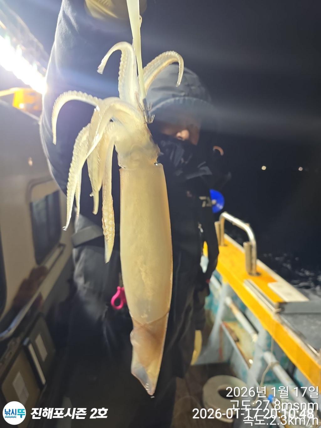 낚시뚜,오징어,진해행암항,진해포시즌 2호,낚시뚜3