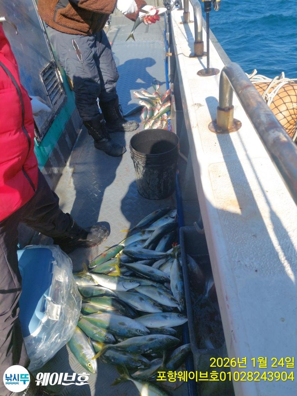 낚시뚜,방어,삼치,구룡포항,뉴웨이브호,낚시뚜14