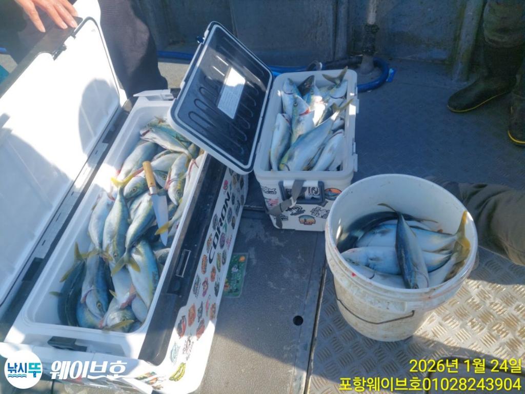 낚시뚜,방어,삼치,구룡포항,뉴웨이브호,낚시뚜6