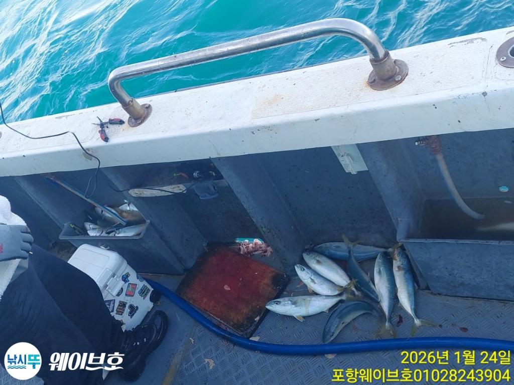 낚시뚜,방어,삼치,구룡포항,뉴웨이브호,낚시뚜5