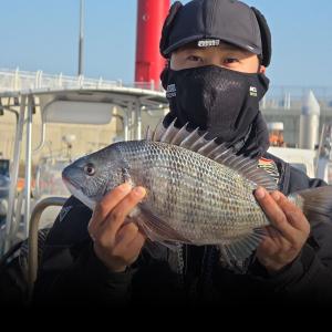 조황, 명성호 갯바위조황