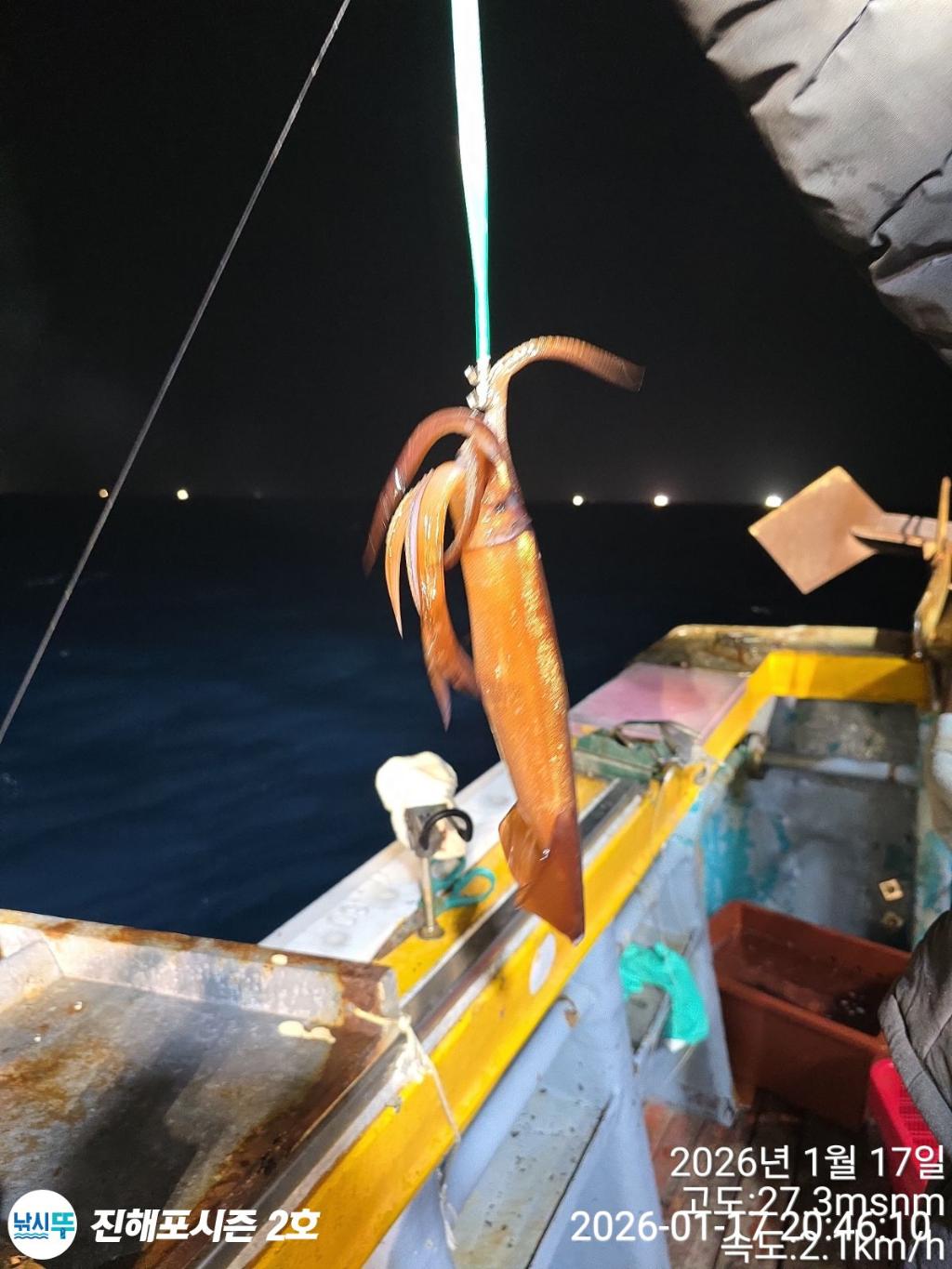 낚시뚜,오징어,진해행암항,진해포시즌 2호,낚시뚜5
