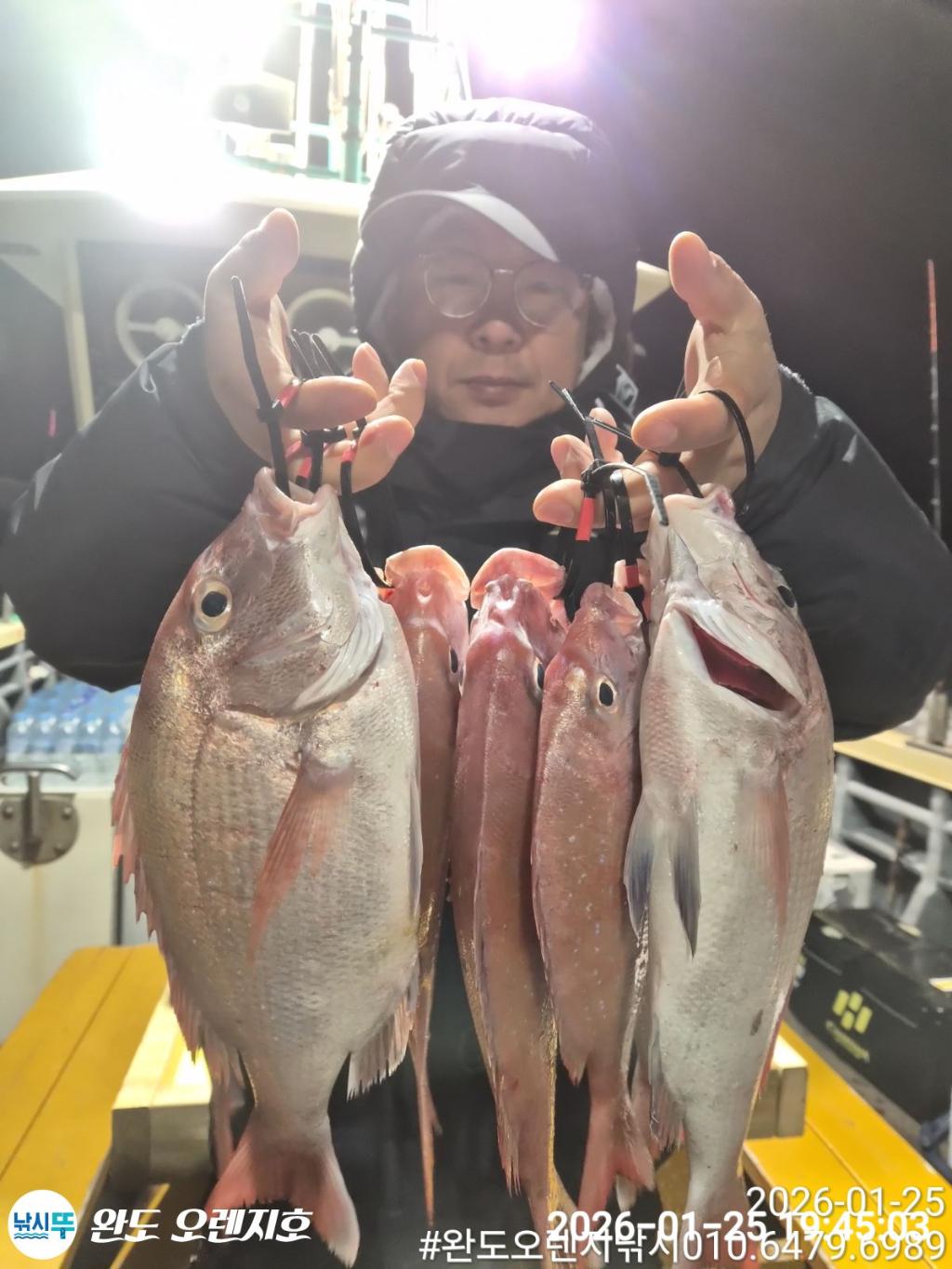 낚시뚜,참돔,완도항,완도 오렌지호,낚시뚜5
