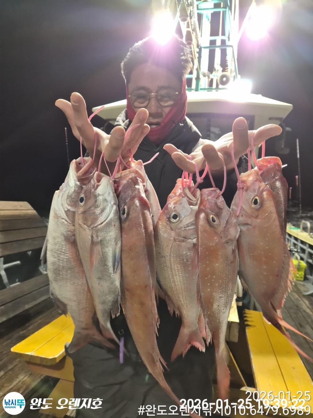 낚시뚜,참돔,완도항,완도 오렌지호,낚시뚜4