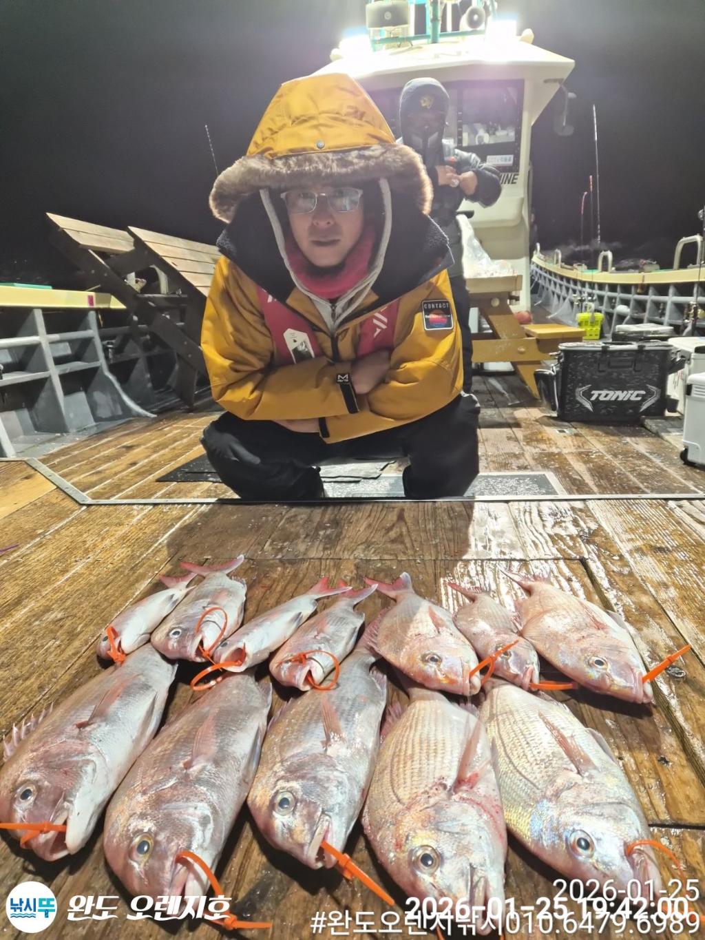 낚시뚜,참돔,완도항,완도 오렌지호,낚시뚜1