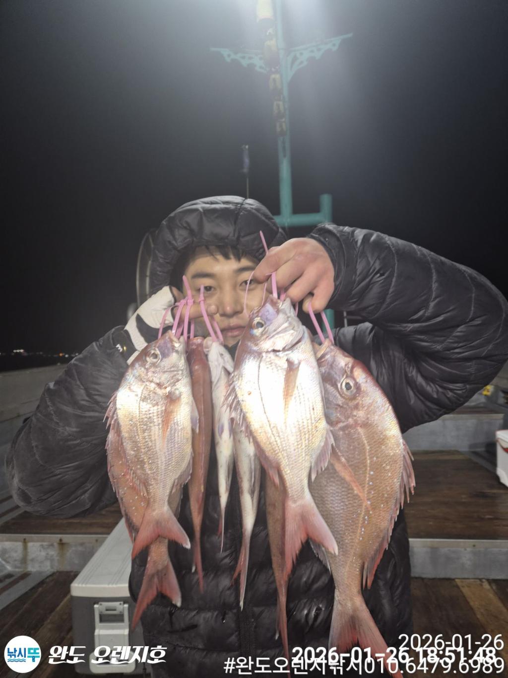 낚시뚜,참돔,완도항,완도 오렌지호,낚시뚜6