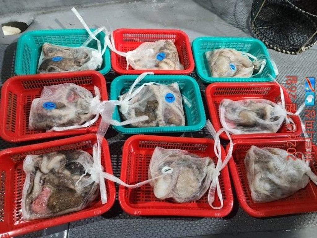 낚시뚜,낙지,속천항(진해),바루나피싱,낚시뚜6