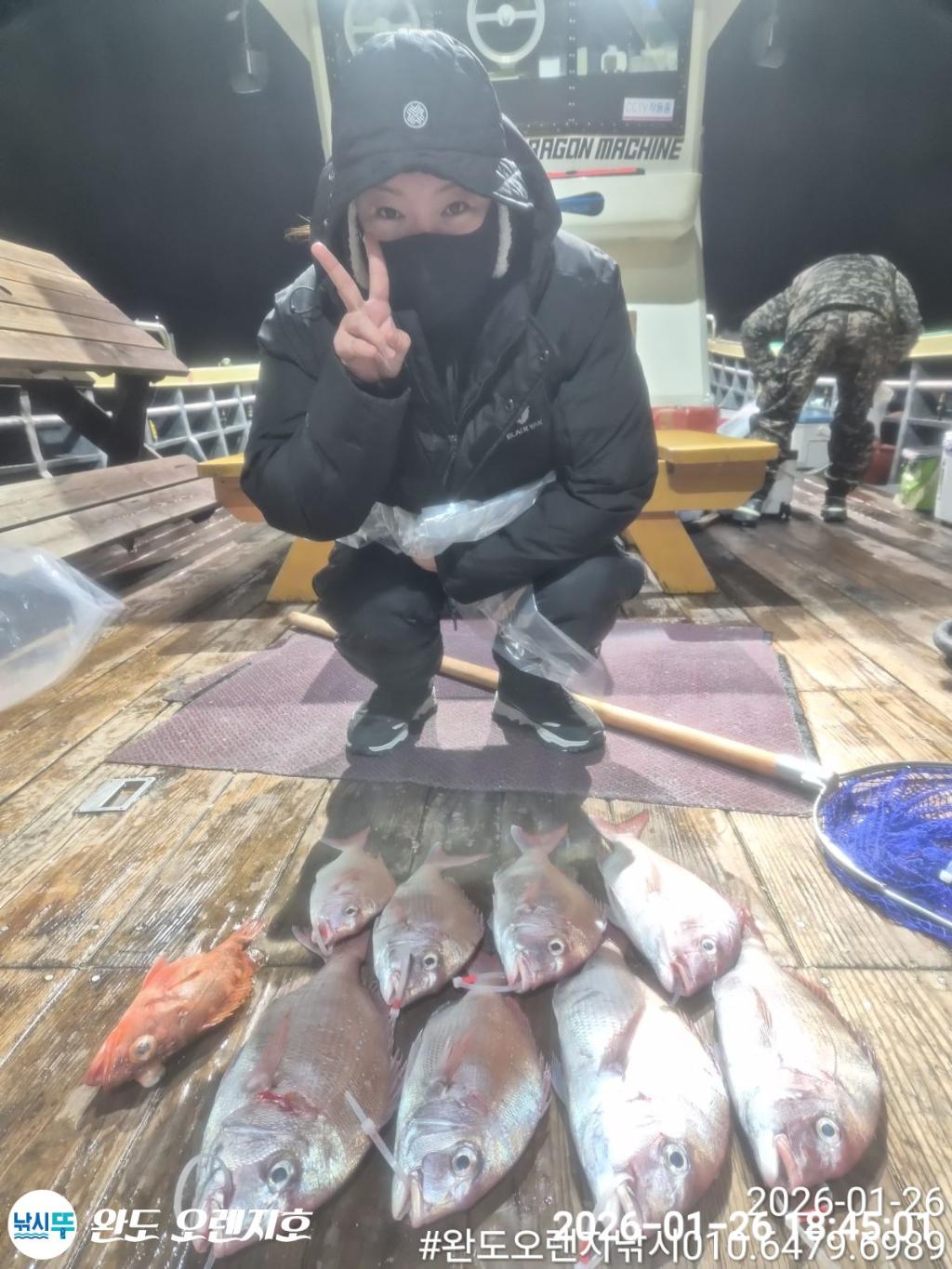 낚시뚜,참돔,완도항,완도 오렌지호,낚시뚜8