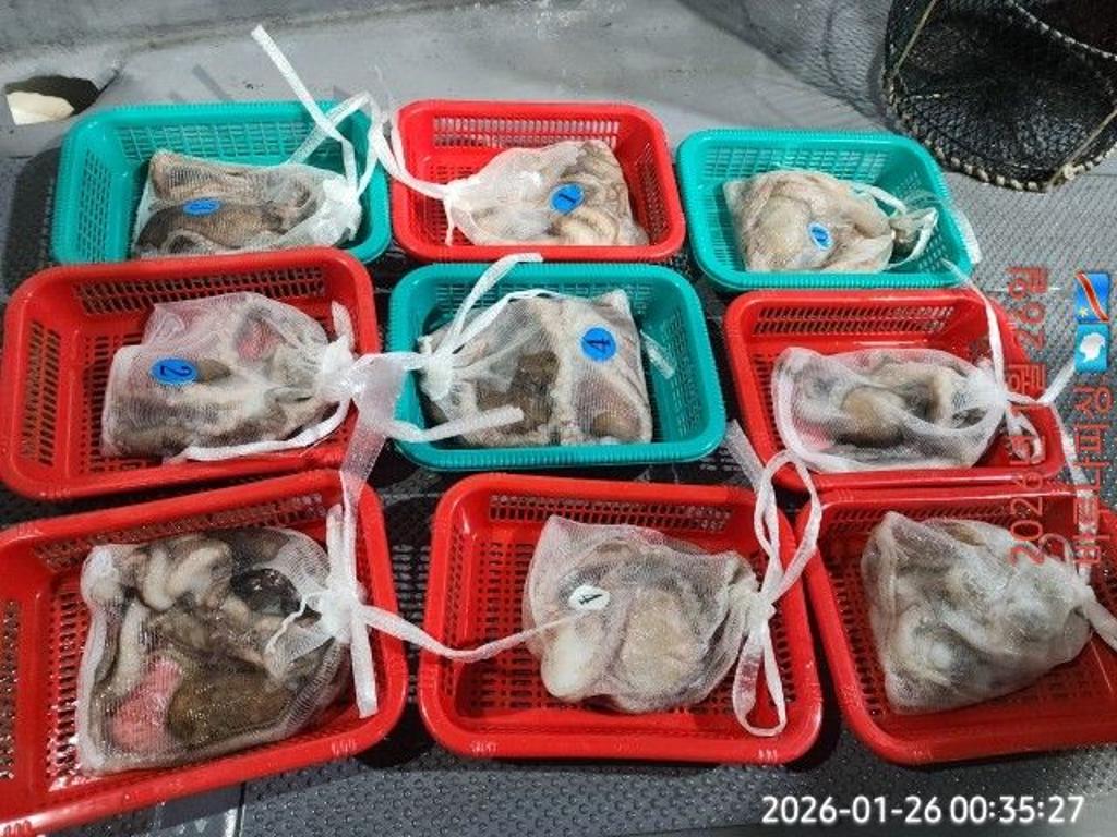 낚시뚜,낙지,속천항(진해),바루나피싱,낚시뚜6