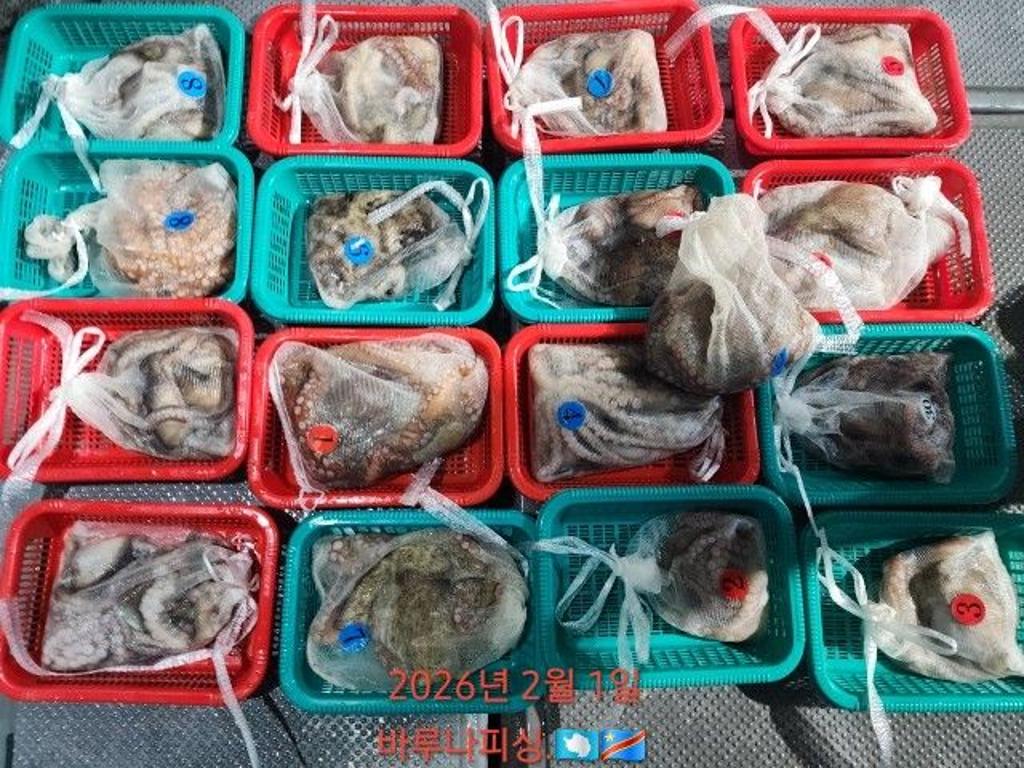 낚시뚜,낙지,도다리,속천항(진해),바루나피싱,낚시뚜7