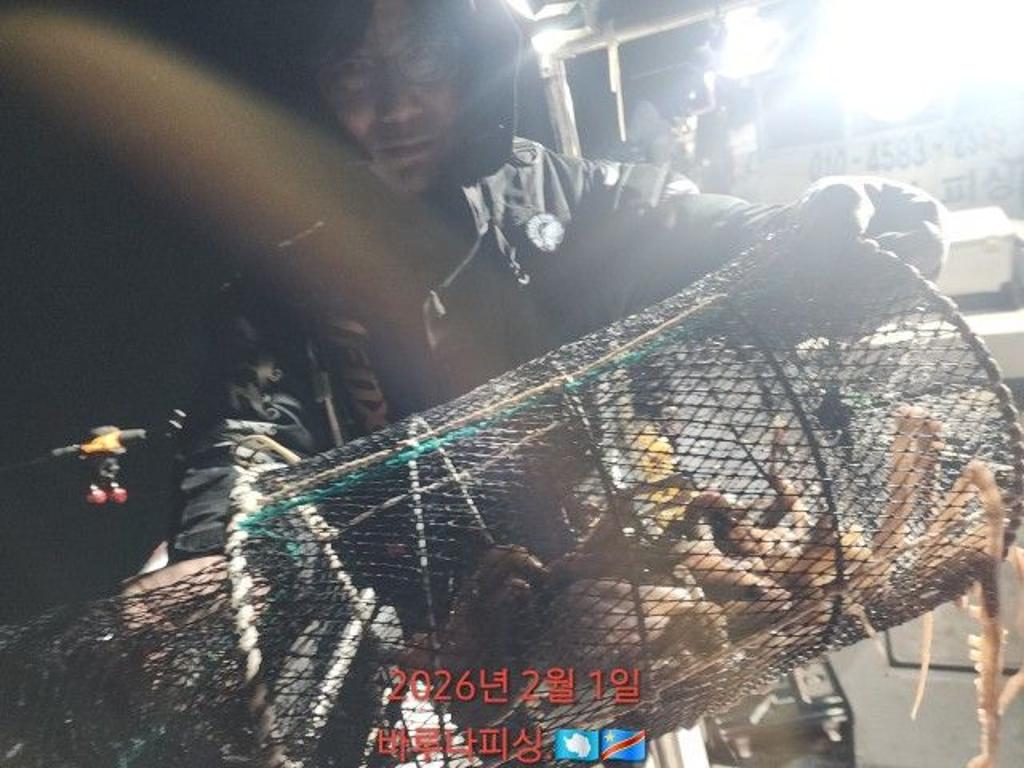 낚시뚜,낙지,도다리,속천항(진해),바루나피싱,낚시뚜1