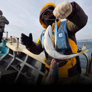 조황, 구정 맞이 방어 출조 