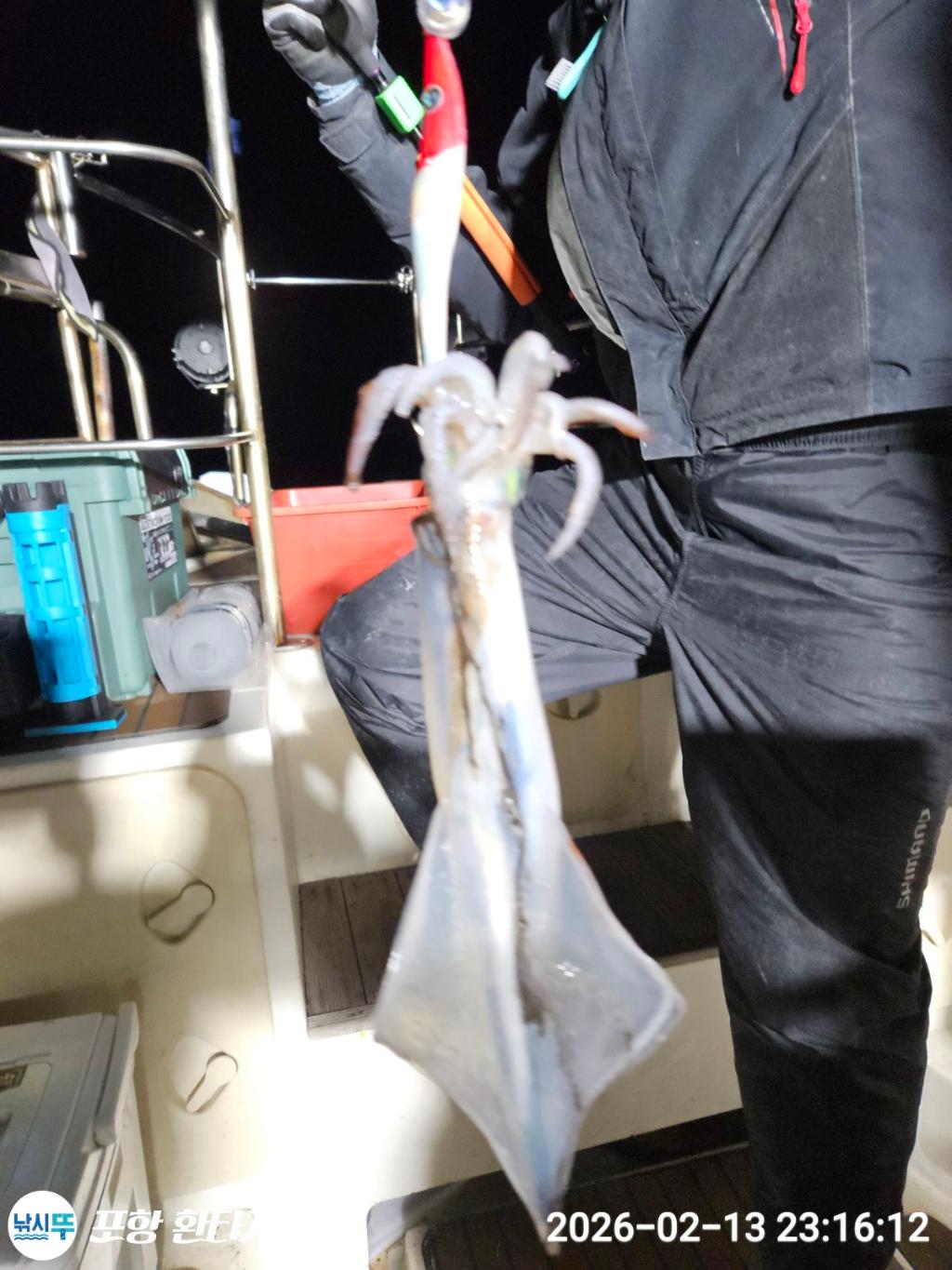 낚시뚜,돌문어,한치,포항 동빈항,포항 환타지호,낚시뚜9